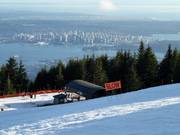 View of Downtown Vancouver