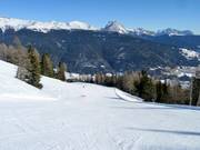 Wide slopes dominate in the Ski Area Val Comelico