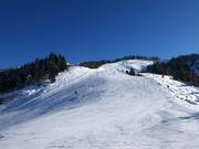 Family Slope Brandlalm