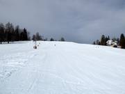 Geigenbühel I downhill run