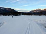 Snow-covered cross-country trails in Reischach