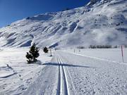 Trail in Andermatt