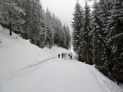 Start of the Hababfahrt