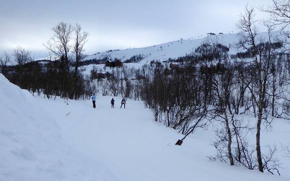 Cross-country skiing Funäsfjällen – Cross-country skiing Tänndalen
