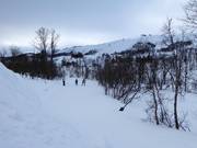 Trail in Tänndalen