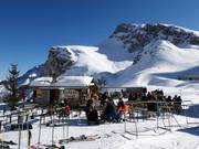 Mountain hut tip Dohlennest