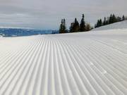 Perfectly groomed slopes await guests.