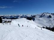 Easy slopes at the 8-seater chairlift Osthang at Brandstadl in Scheffau