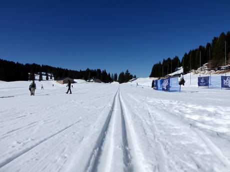 Cross-country skiing Alpe Cimbra – Cross-country skiing Folgaria/Fiorentini