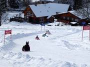 Tip for children  - Zipflbob sledging at the Drachen lifts