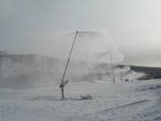 Complete snowmaking coverage of the ski area