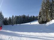 South Descent Rittisberg