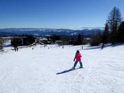 Easy slope at Zirbenlift 2