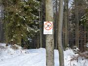 Skiing through the forest is prohibited