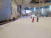 Practice slope with conveyor belt