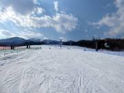 Wide and easy slope Family