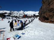 Happy Valley Carpet 3 - People mover/Moving Carpet