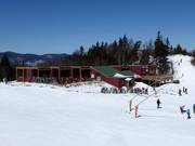 Gastronomy tip The Mountain Room @ Peak Lodge