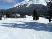 Beginner slopes at Green Chair