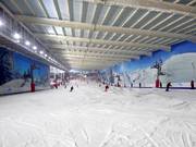 View of the main slope from the mountain station