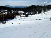 Owl Learning Area in the valley area