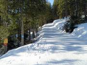 Beginning of the trail at the Fernie Alpine Resort