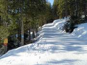 Start of the cross-country trails at Fernie Alpine Resort