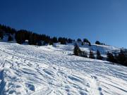 Powder snow terrain at the Bolgengrat