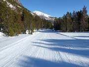 Valley run to Tschierv