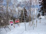 Gate to the cleared forest runs