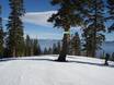 Pacific States (West Coast): orientation within ski resorts – Orientation Homewood Mountain Resort