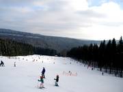 Schwedenhang – particularly sunny thanks to its southern exposure.