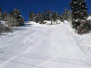 Excellent slope grooming