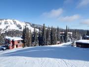 From Silver Queen to the village