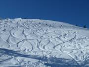 Freeriding is also possible