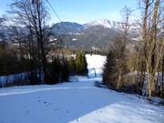 Eckerbichllift - T-bar