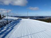 Easy slope R.1 towards Levi Village