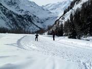 High-altitude cross-country trail in Sulden
