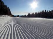 Perfectly groomed slope in the Mönichkirchen/Mariensee ski resort