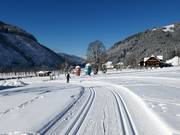 Cross-country trails in Ramsau am Dachstein