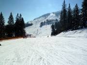 Easy family run at the Sonnenhang chairlift