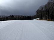 Central Street slope