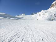 Easy slope no. 38 Tiefenbachferner