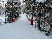 Valley run to Adelboden-Oey