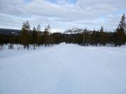 Easy slope in the valley area Ylläs-Ski