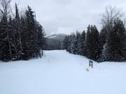 Aladar's Alley slope