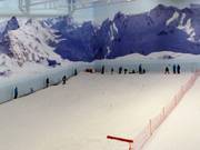 Beginner area in the Chill Factore ski hall