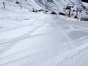 Perfectly groomed slope at Col Rodella