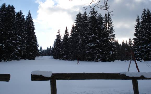 Skiing near Strážný