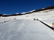 Magic Carpet in Sent